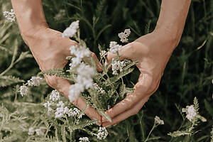 dōTERRA Business 17 MSP2973 75 - dōTERRA Business