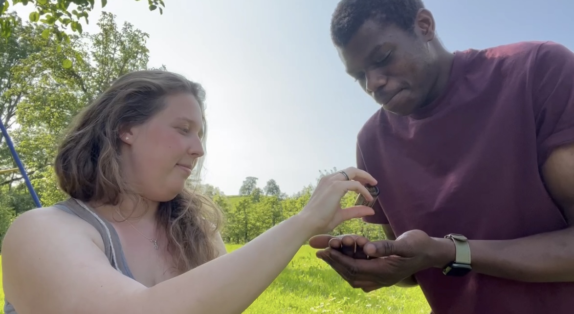 Ätherische Öle 20 IMG 4894 - Ätherische Öle