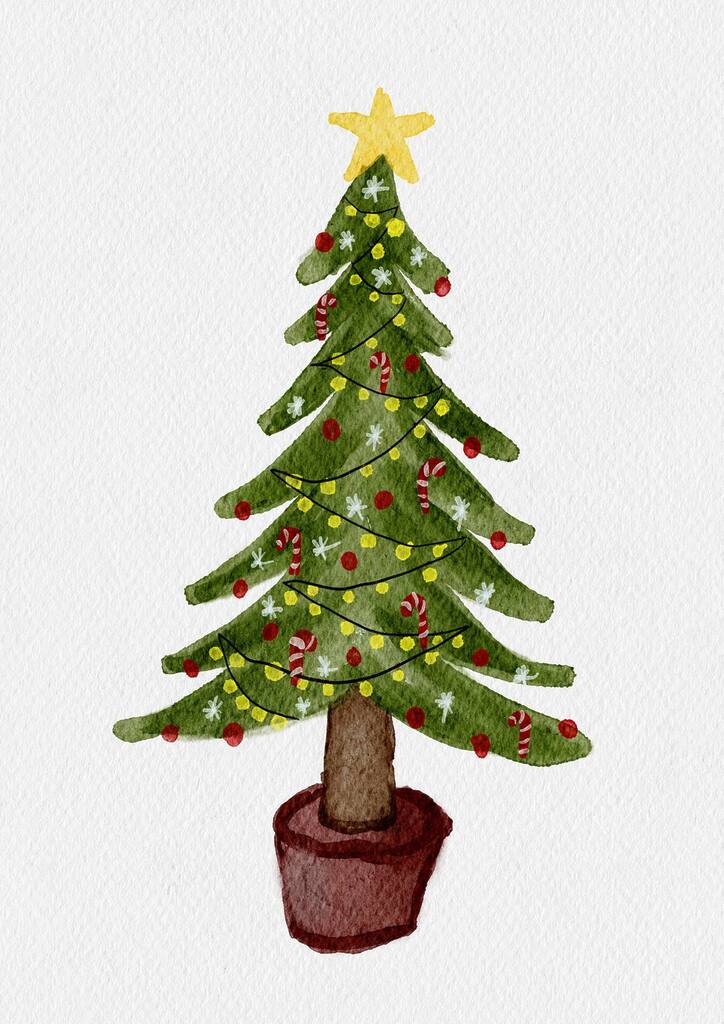 24 Tage Leichtigkeit 1 IMG 2256 - 24 Tage Leichtigkeit