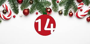 dōTERRA Business 15 12 e1766090629179 - dōTERRA Business