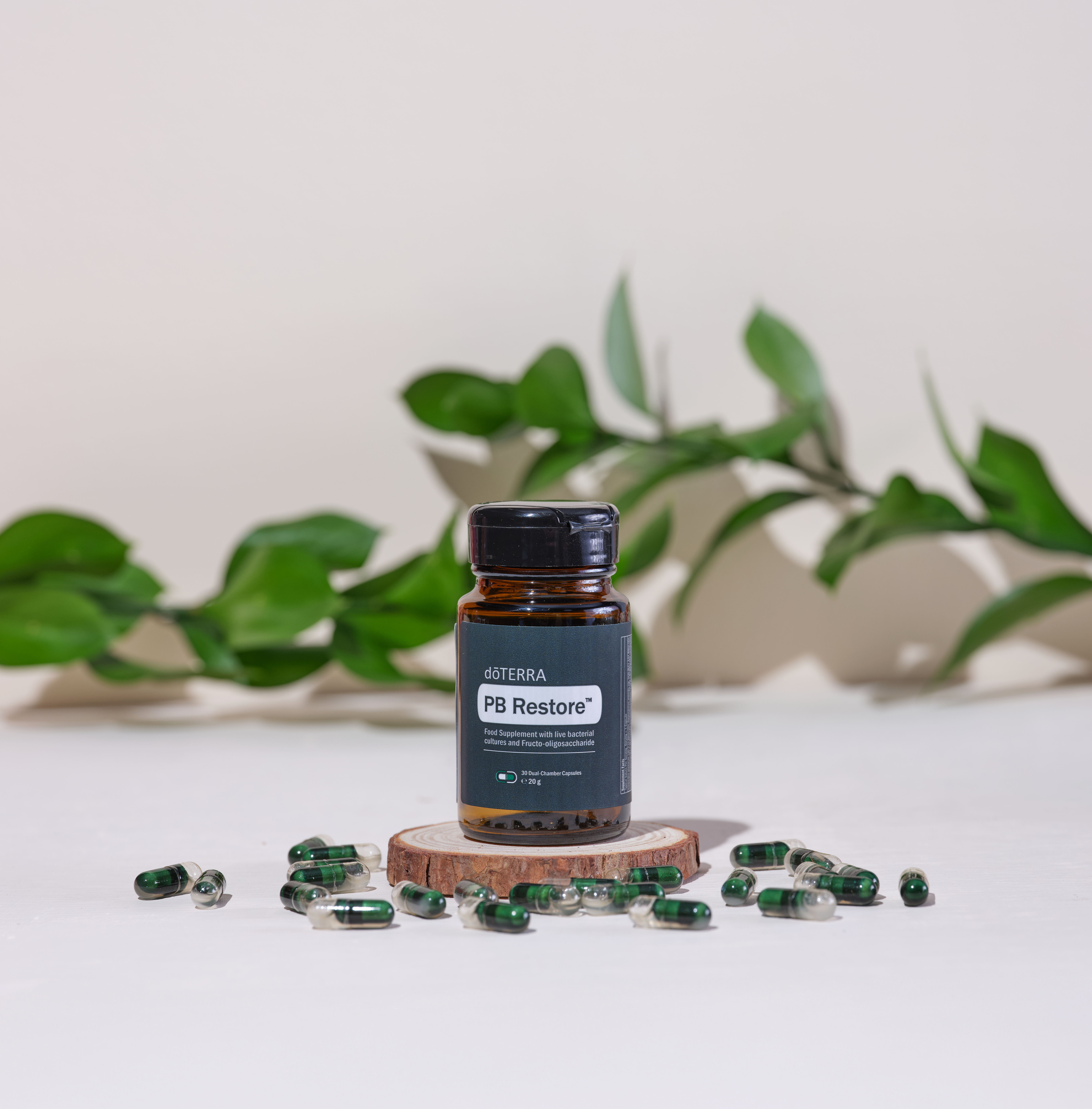 Supplements-Webinar 7 PB Restore Studio 1 - Supplements-Webinar